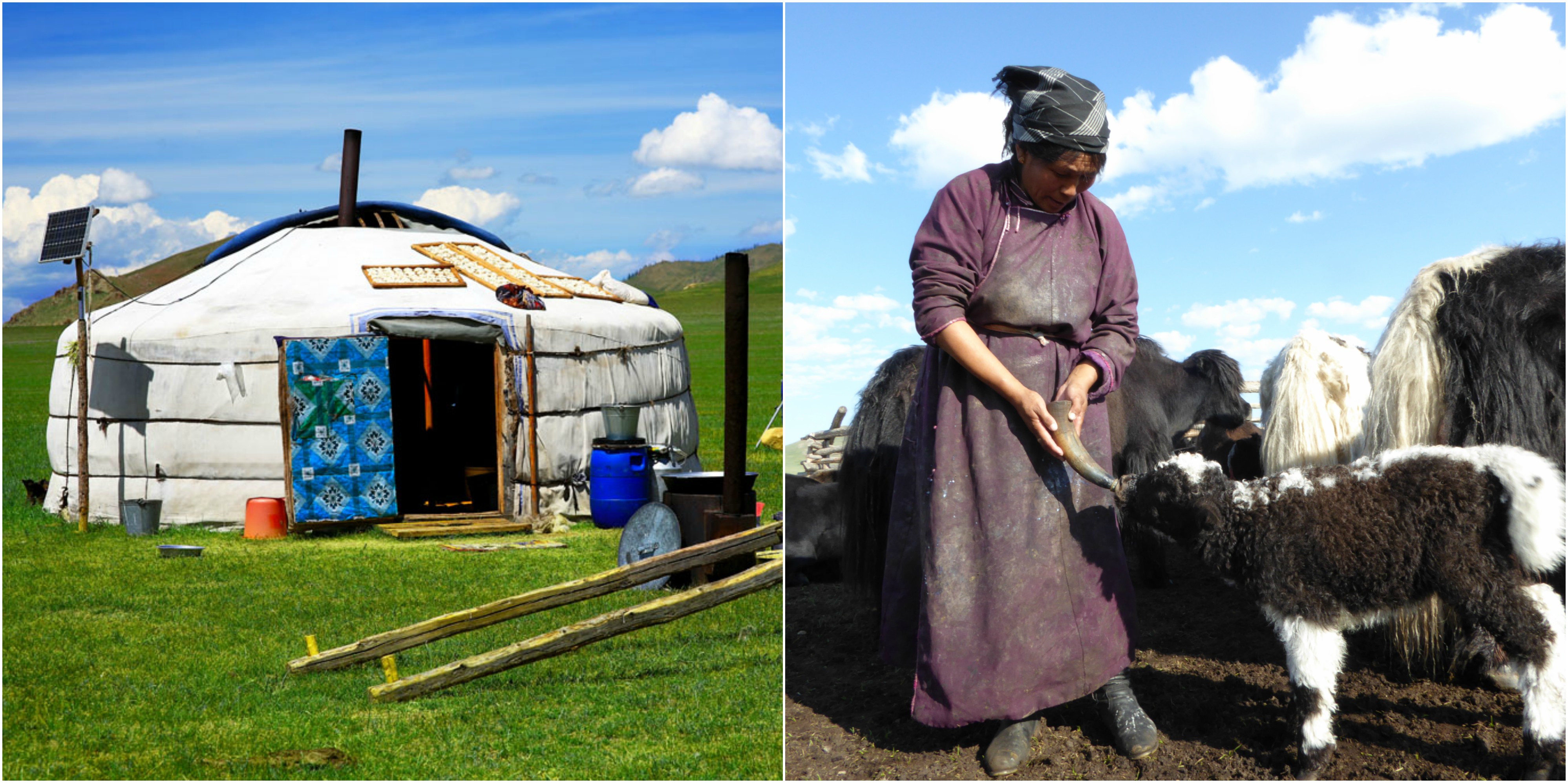 Nomadic family in Mongolia